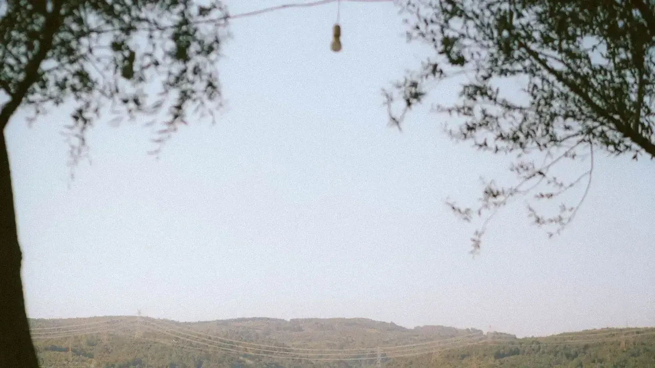 Sapanca & Maşukiye